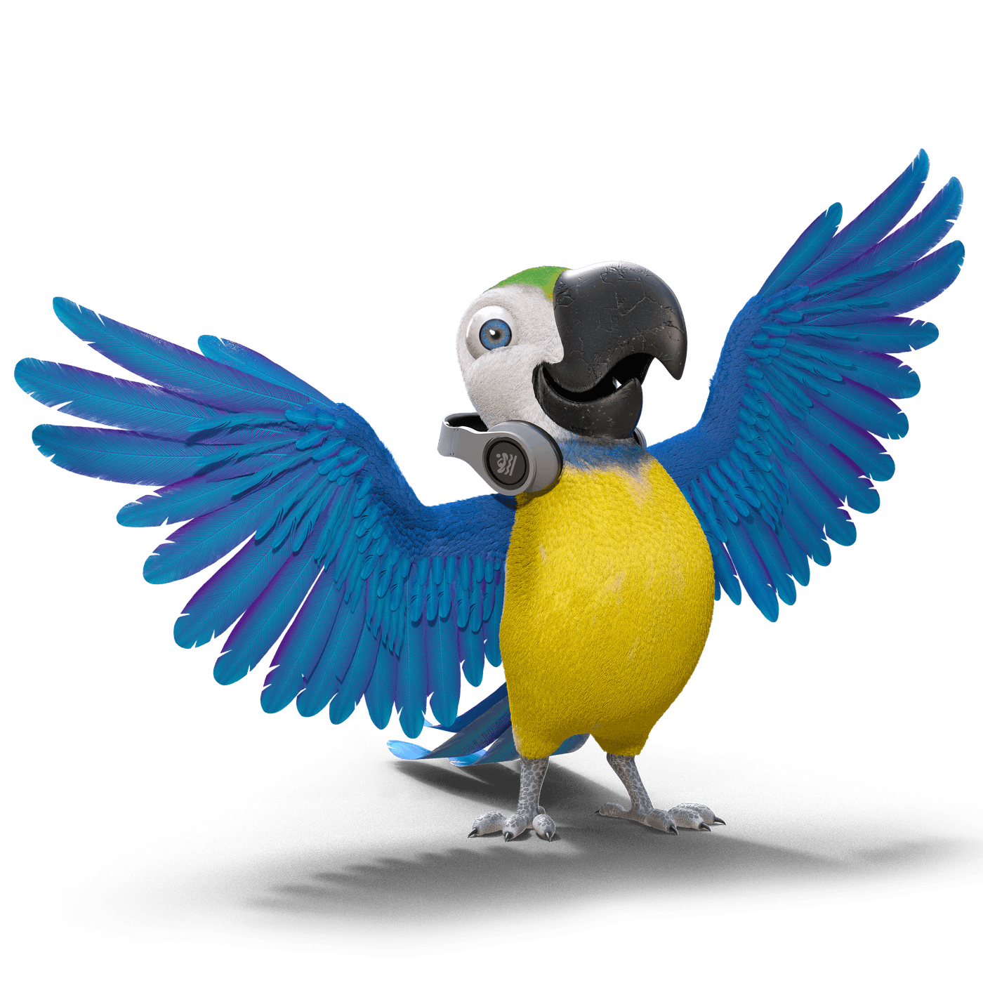 Chico